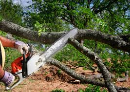 Lawn Drainage Solutions in Alto, TX